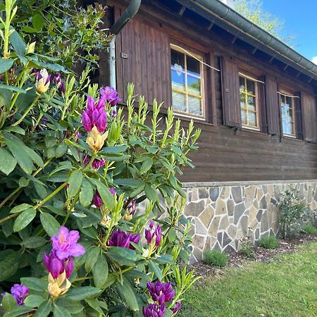 Blockhuette Engeln-Eifel Villa Kempenich Екстериор снимка
