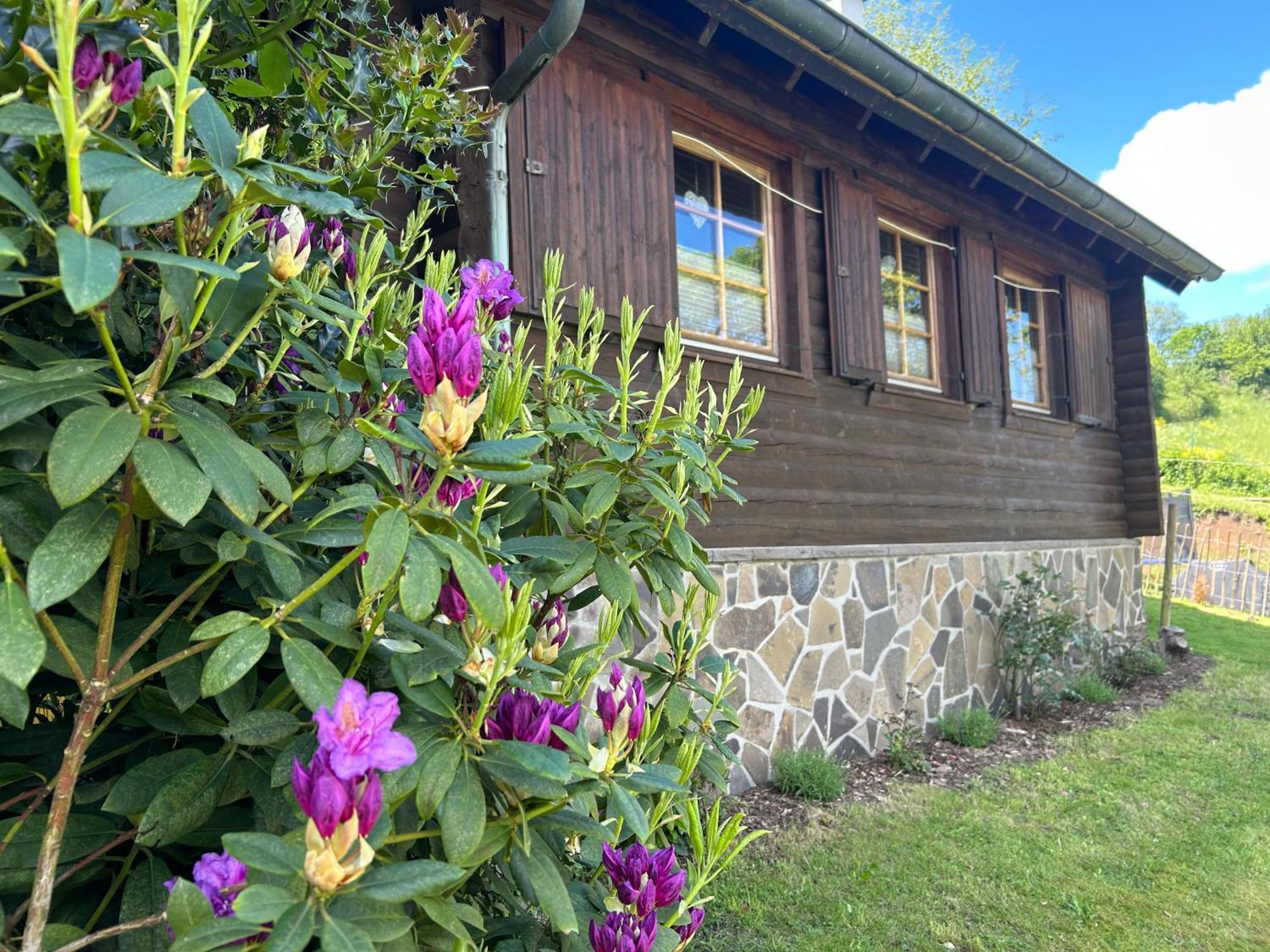 Blockhuette Engeln-Eifel Villa Kempenich Екстериор снимка